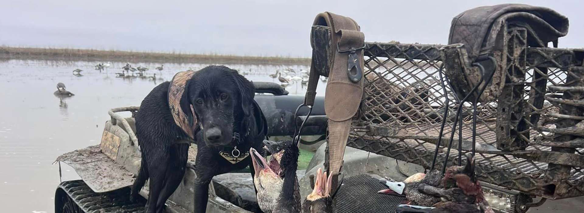 Free Rental Options Free Rental Options