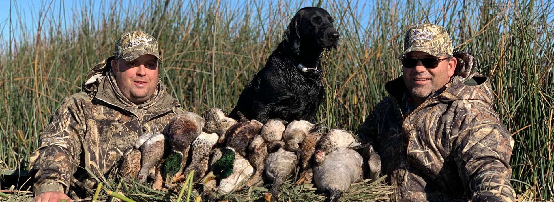 Recommended Products & Websites Recommended Products & Websites