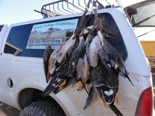 View The Photo Gallery