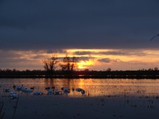 View The Photo Gallery