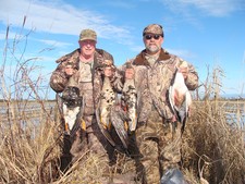View The Photo Gallery