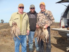 View The Photo Gallery