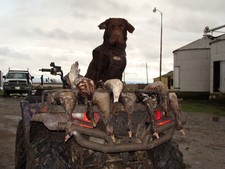 View The Photo Gallery