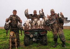 View The Photo Gallery