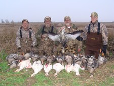 View The Photo Gallery