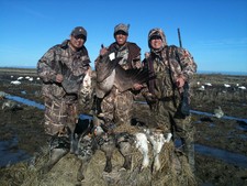 View The Photo Gallery