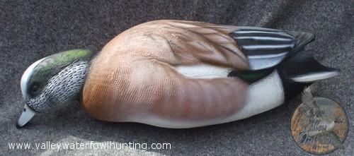 wigeonfeeder
